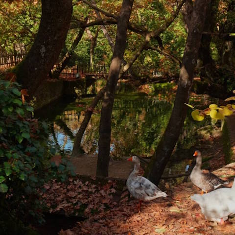 Eyrostini Duck Slider