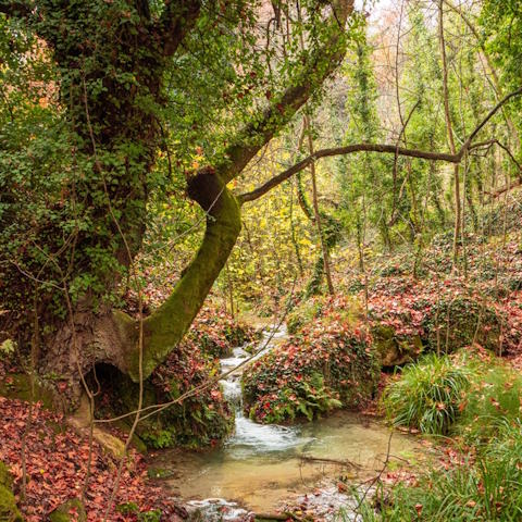 Kalavryta Nature River Slider