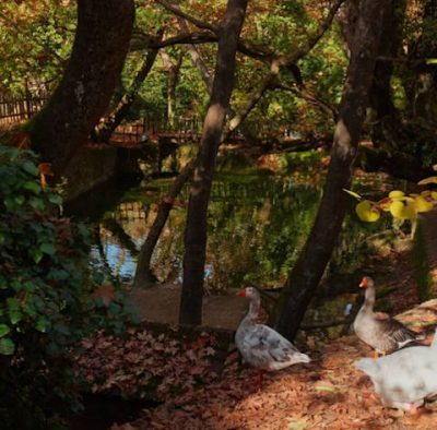 Eyrostini Duck Slider