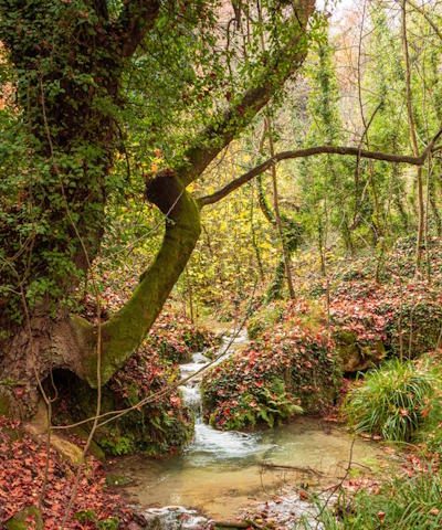 Kalavryta Nature River Slider